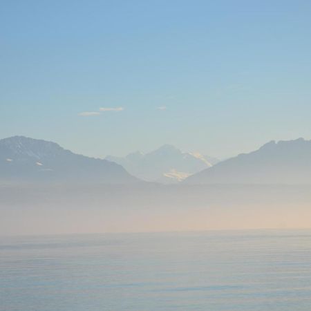 Bnb Chez Fanfan Morges Exterior photo